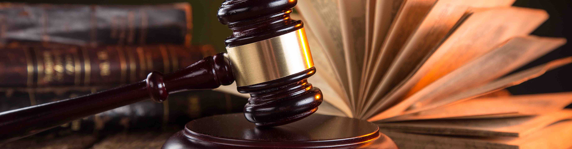 DEFENSA LEGAL